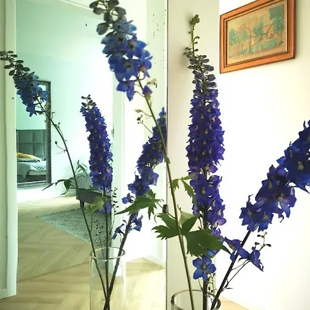Apartament Naleczowski Zakatek Esterno foto