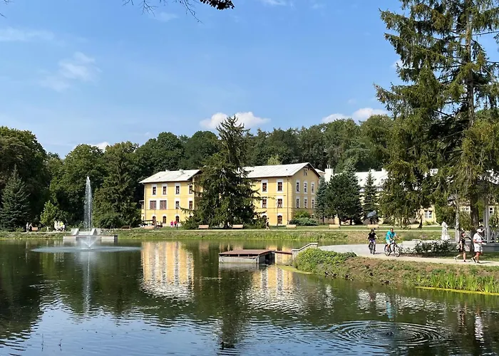 Apartament Naleczowski Zakatek
